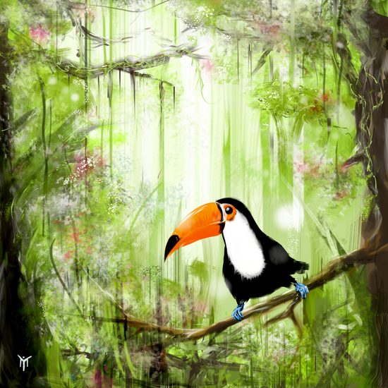 tucan forest by martinskowsky