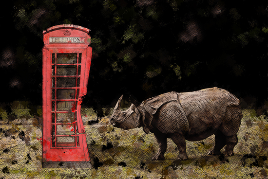 Rhino vs Phone Box by Galen Valle