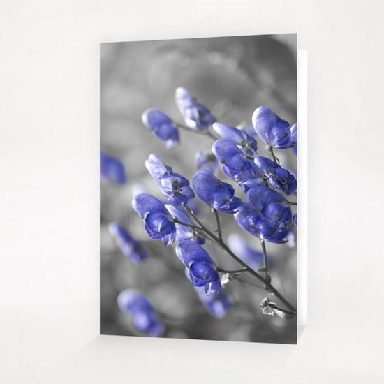 Blue Flower Greeting Card & Postcard by cinema4design