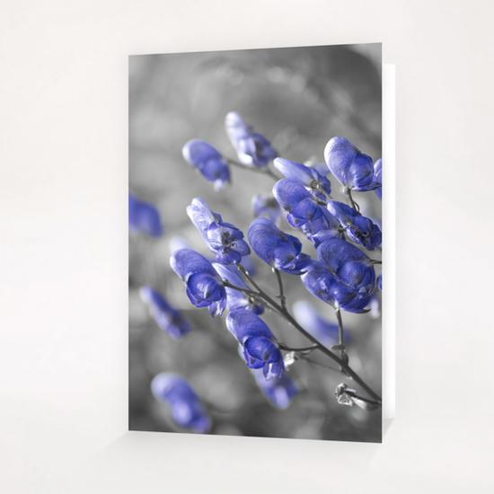 Blue Flower Greeting Card & Postcard by cinema4design