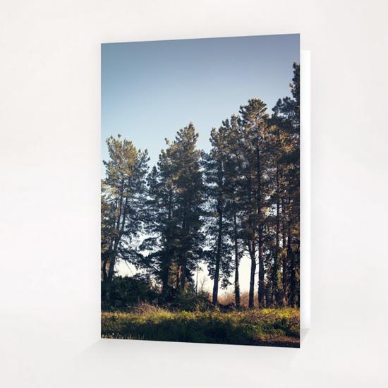 Trees II Greeting Card & Postcard by Salvatore Russolillo
