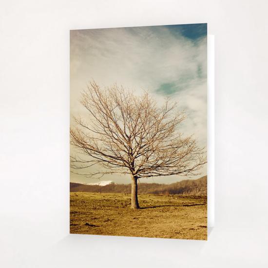 Tree Greeting Card & Postcard by Salvatore Russolillo