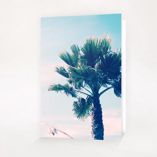 Palm Tree Greeting Card & Postcard by mmartabc