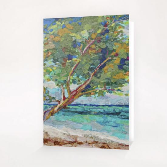 Beach Tree II Greeting Card & Postcard by Elizabeth St. Hilaire
