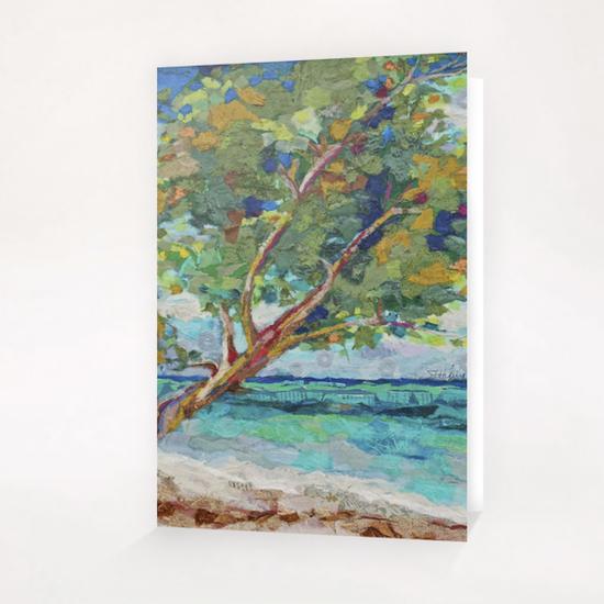 Beach Tree II Greeting Card & Postcard by Elizabeth St. Hilaire