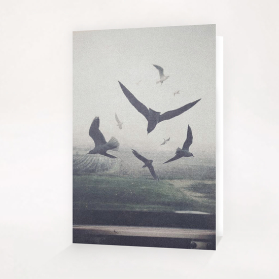 Birds Greeting Card & Postcard by yurishwedoff