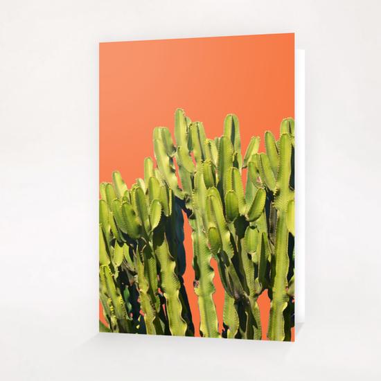 Bold Cactus Greeting Card & Postcard by Uma Gokhale