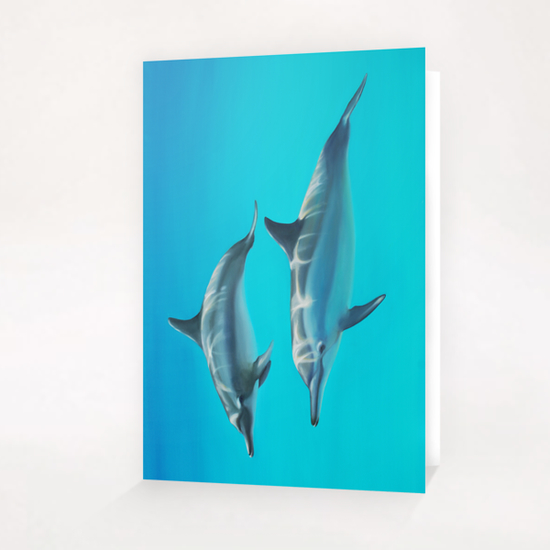Dolphins Greeting Card & Postcard by di-tommaso