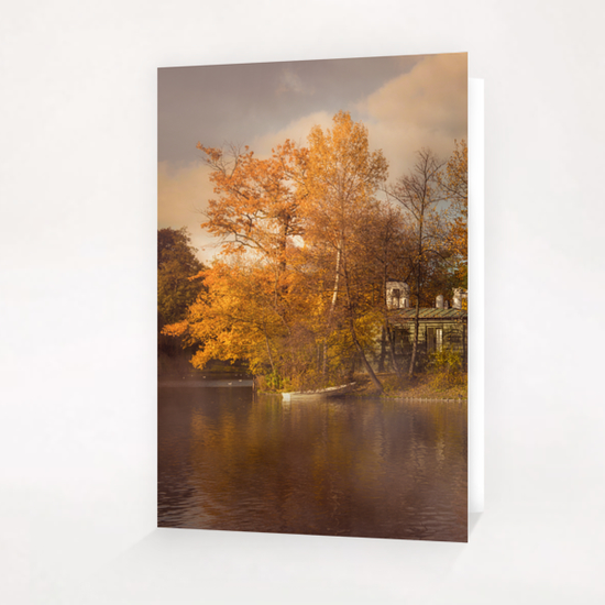 Golden leaves  Greeting Card & Postcard by Jarek Blaminsky