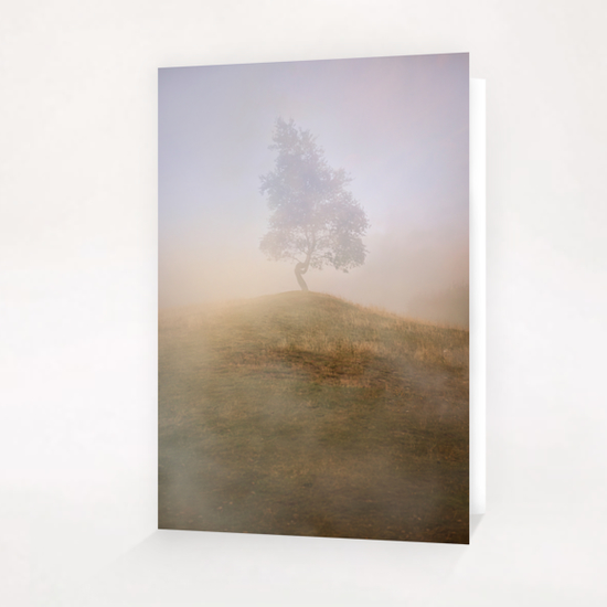 Loneliness at foggy dawn Greeting Card & Postcard by Jarek Blaminsky