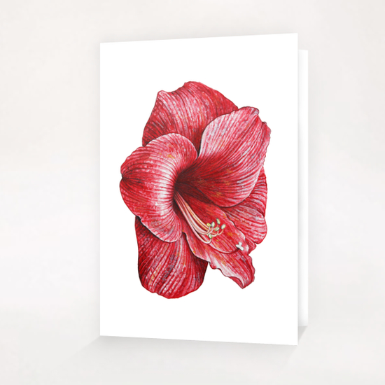 Red flower Greeting Card & Postcard by Nika_Akin