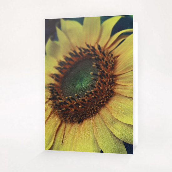 Sunflower Greeting Card & Postcard by VanessaGF