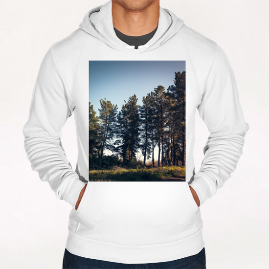Trees II Hoodie by Salvatore Russolillo