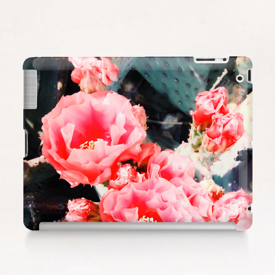 closeup blooming red cactus flower texture background Tablet Case by Timmy333