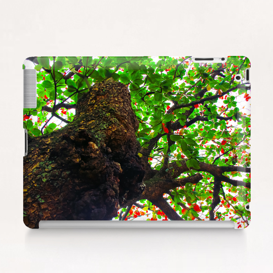 big tree with green leaves and red leaves Tablet Case by Timmy333