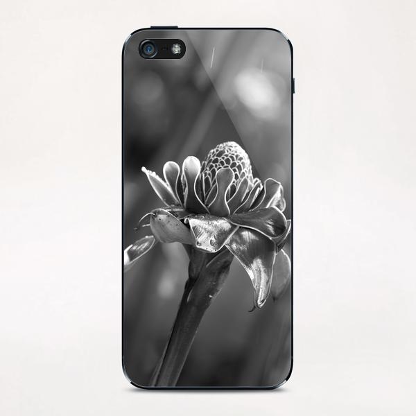 Tropical Flower iPhone & iPod Skin by cinema4design
