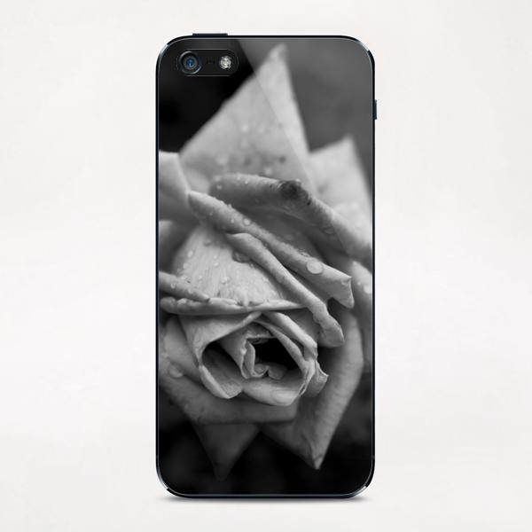 Monochrome Flower iPhone & iPod Skin by cinema4design