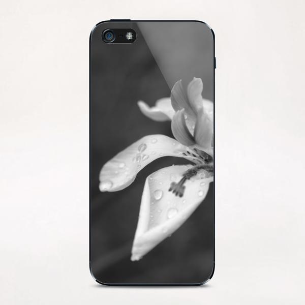 Orchid In Drops iPhone & iPod Skin by cinema4design