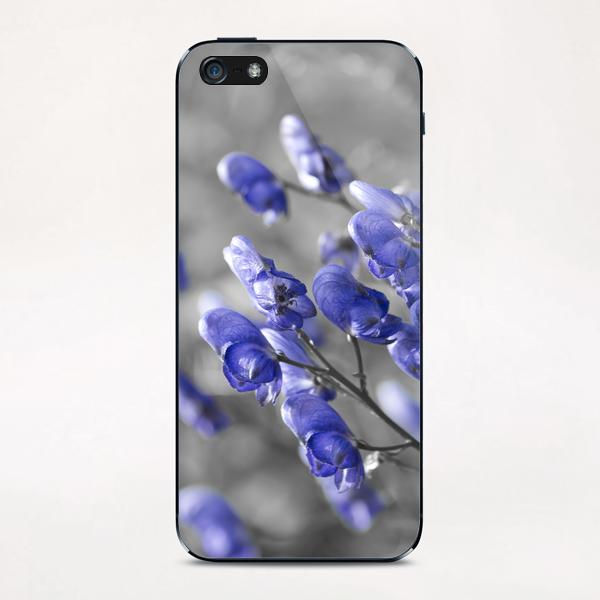 Blue Flower iPhone & iPod Skin by cinema4design