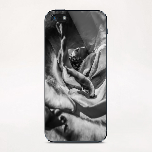 blooming rose in black and white iPhone & iPod Skin by Timmy333
