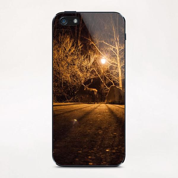 Lone Deer II  iPhone & iPod Skin by Salvatore Russolillo