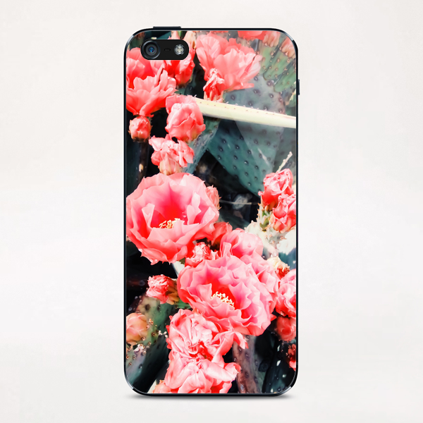 closeup blooming red cactus flower texture background iPhone & iPod Skin by Timmy333