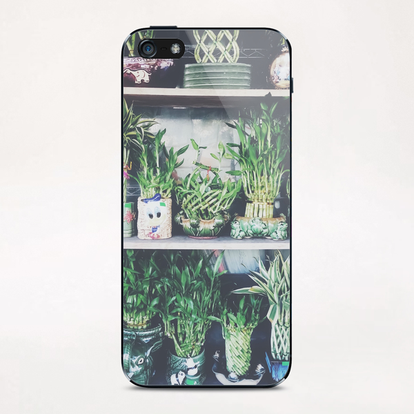 green bamboo plant in the vase pattern background iPhone & iPod Skin by Timmy333