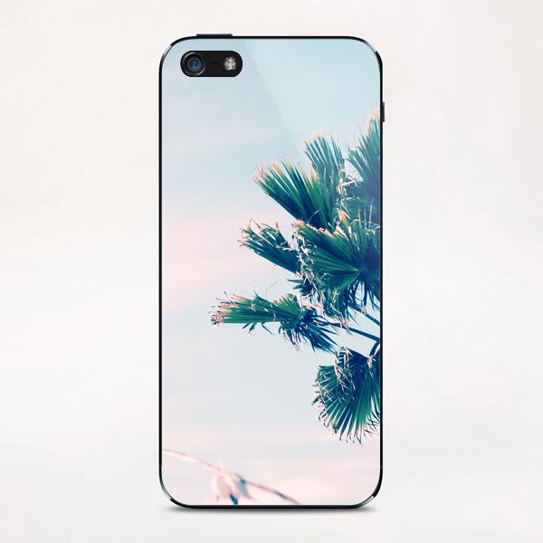 Palm Tree iPhone & iPod Skin by mmartabc