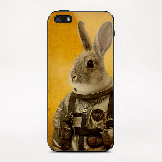 Ready to flight iPhone & iPod Skin by durro art