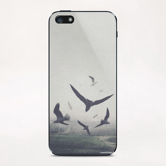 Birds iPhone & iPod Skin by yurishwedoff