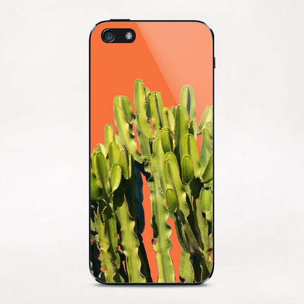 Bold Cactus iPhone & iPod Skin by Uma Gokhale