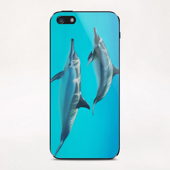 Dolphins iPhone & iPod Skin by di-tommaso