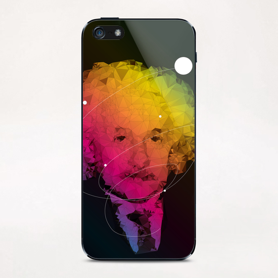 Einstein iPhone & iPod Skin by Vic Storia