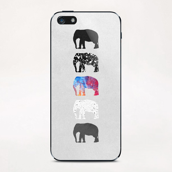 Five elephants iPhone & iPod Skin by Elisabeth Fredriksson