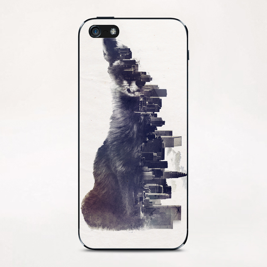 Fox from the city iPhone & iPod Skin by Robert Farkas