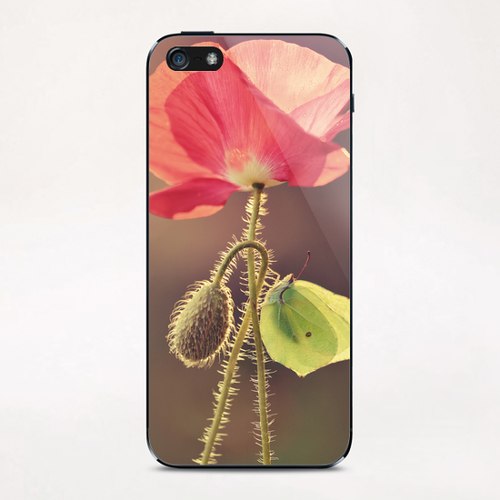 Yellow butterfly sitting on the pink poppy flower iPhone & iPod Skin by Jarek Blaminsky