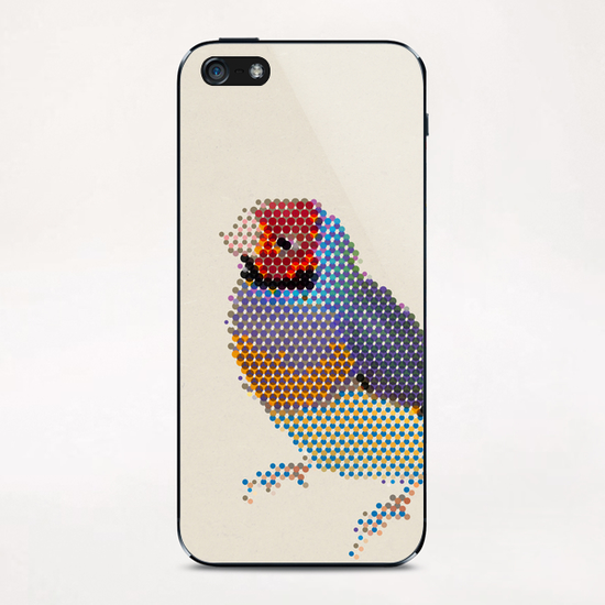 Red Head Bird iPhone & iPod Skin by Alex Xela
