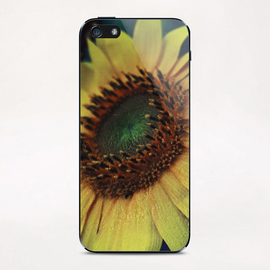Sunflower iPhone & iPod Skin by VanessaGF