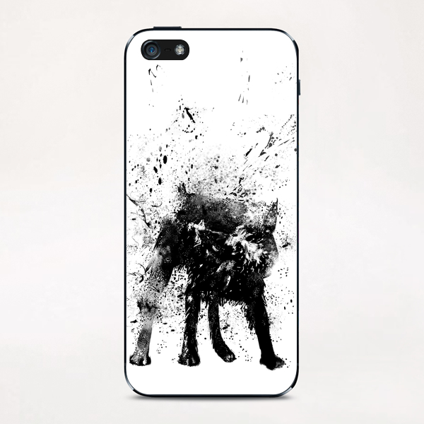 Wet dog iPhone & iPod Skin by Balazs Solti