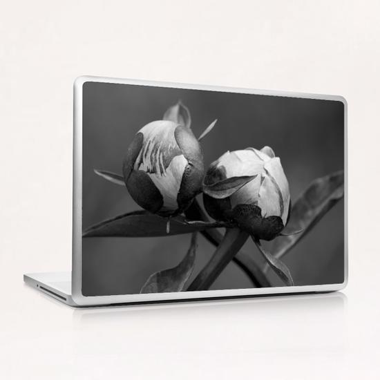 Unbloomed Flowers Laptop & iPad Skin by cinema4design