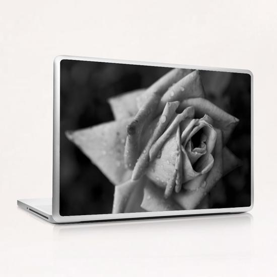 Monochrome Flower Laptop & iPad Skin by cinema4design