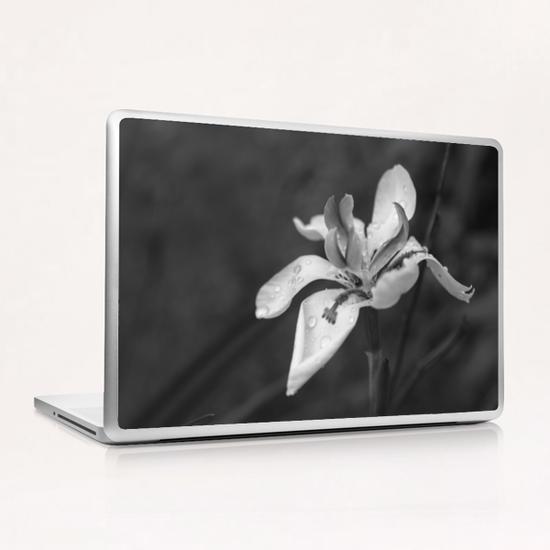 Orchid In Drops Laptop & iPad Skin by cinema4design