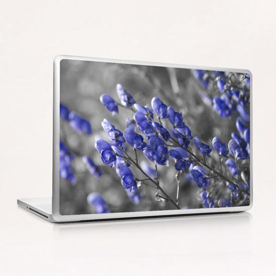 Blue Flower Laptop & iPad Skin by cinema4design