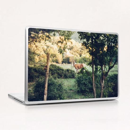 Lone Deer Laptop & iPad Skin by Salvatore Russolillo