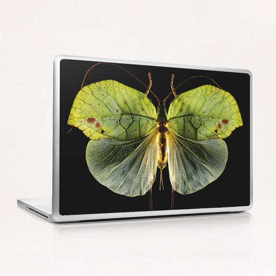 Cycloptera Laptop & iPad Skin by Mermet
