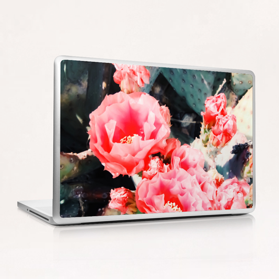closeup blooming red cactus flower texture background Laptop & iPad Skin by Timmy333
