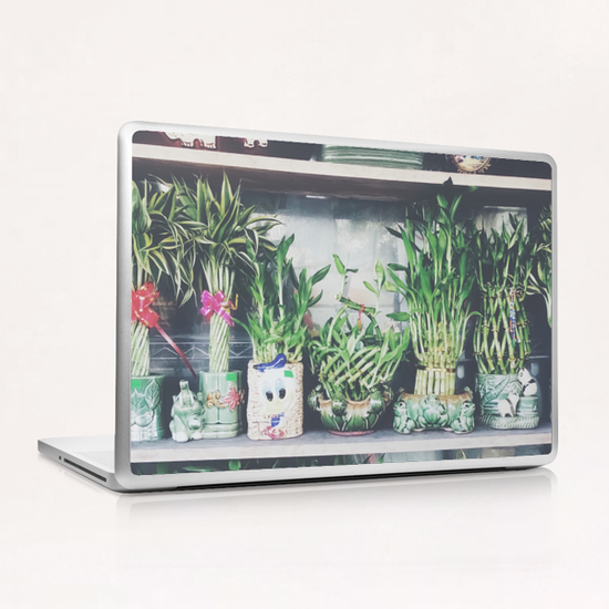 green bamboo plant in the vase pattern background Laptop & iPad Skin by Timmy333