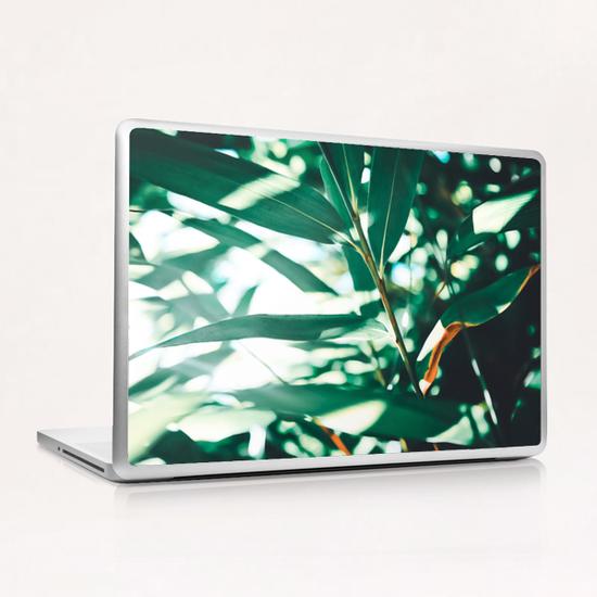 Love leaf Laptop & iPad Skin by mmartabc