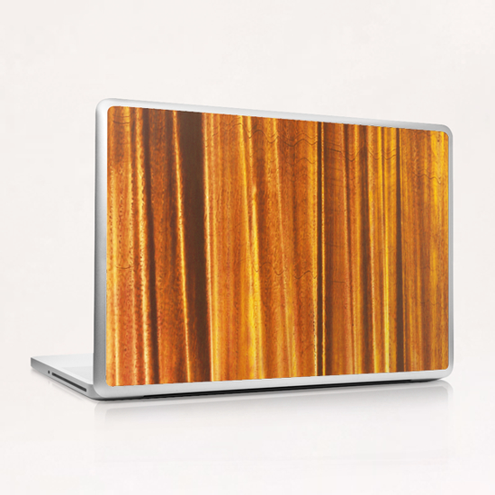 Goldriver-A Laptop & iPad Skin by Jerome Hemain