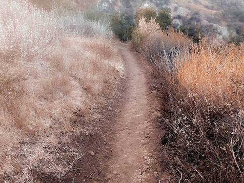 walkway on the mountain with dry grass field Mural by Timmy333